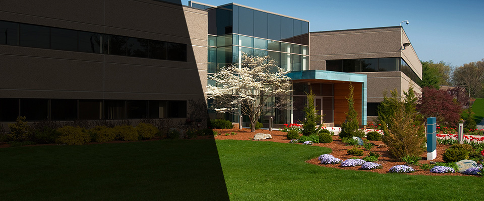 Bainbridge Island Landscapers