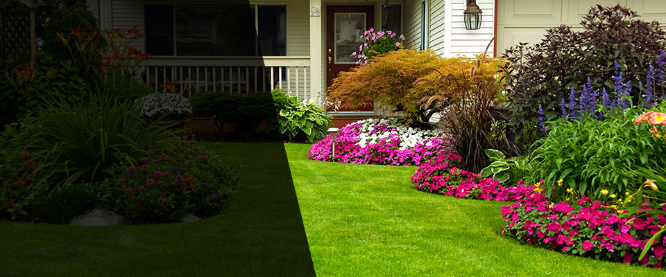 Bainbridge Island Landscapers