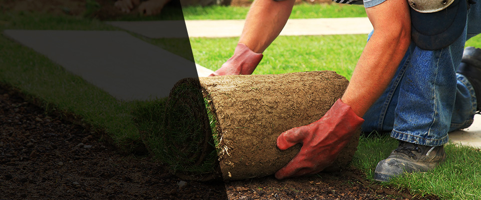 Bainbridge Island Landscapers